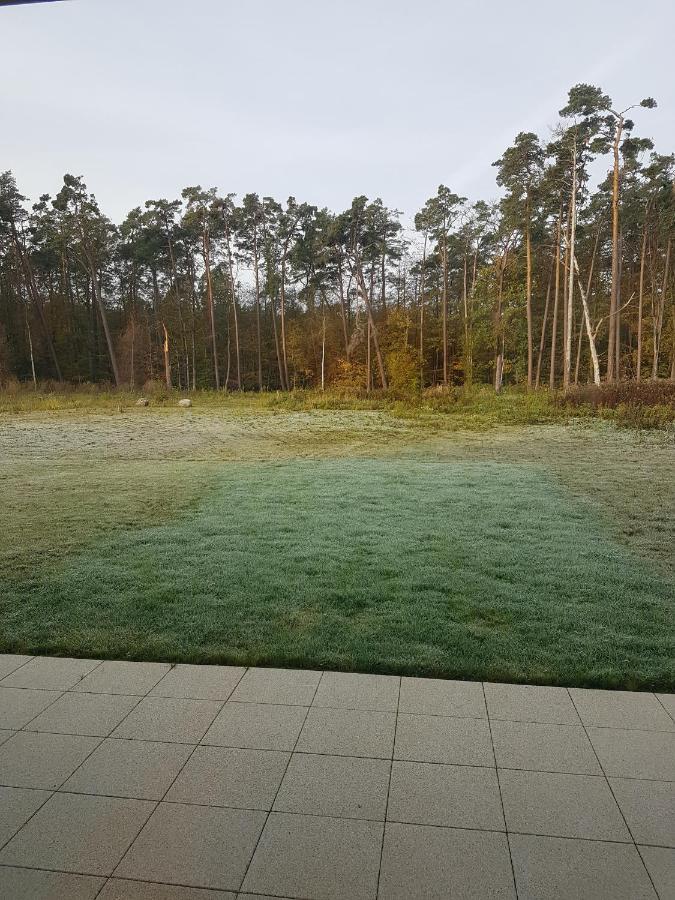 Sonnenstrahl Im Kuestenwald Gelbensande Eksteriør billede
